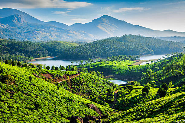 best kerala trip package
