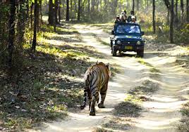 outdoor activities in Rishikesh