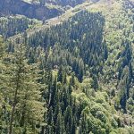 Parvati Valley Manali