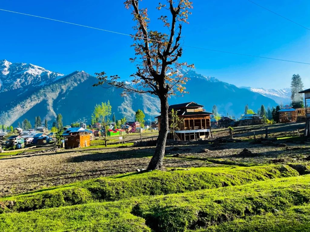 Dharamshala & McLeod Ganj