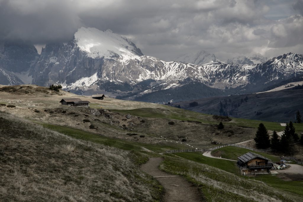 Gurso Bugyal auli (1)