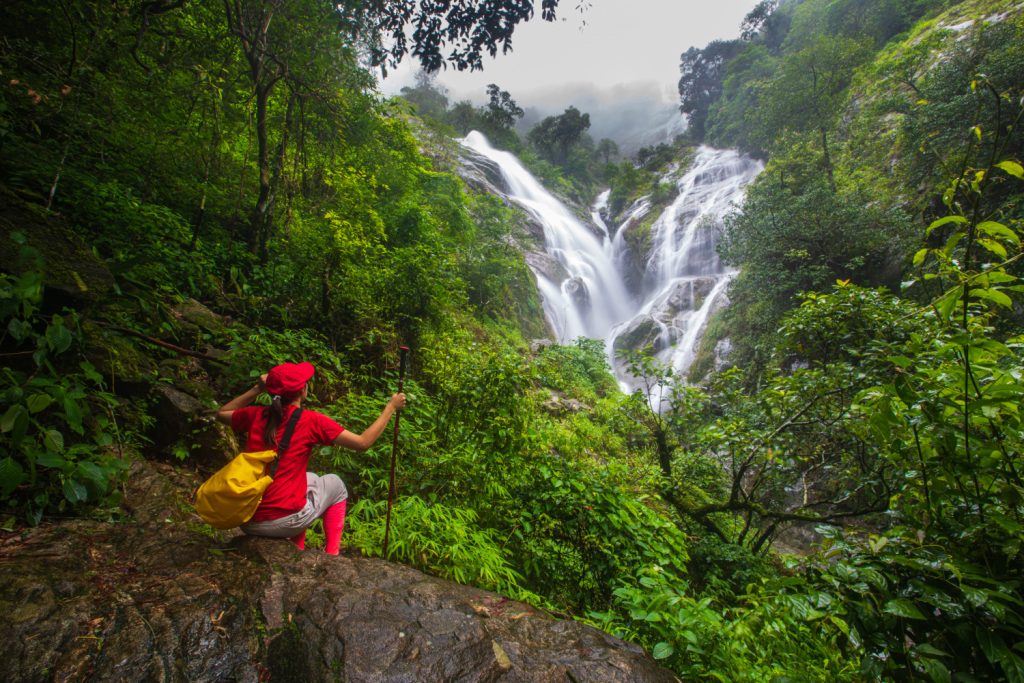 Thekkady (2)