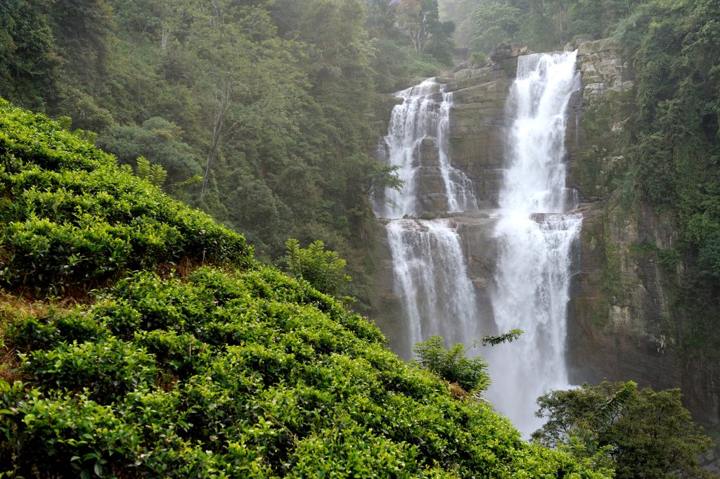 Northeast Shillong, Meghalaya