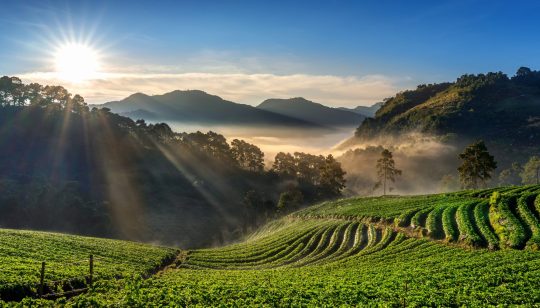 Assam Tour Package